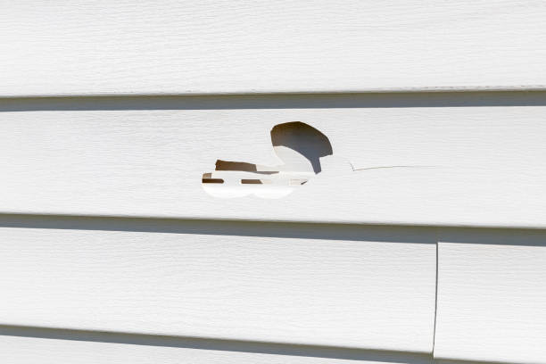 Best Stucco Siding  in Joppatowne, MD