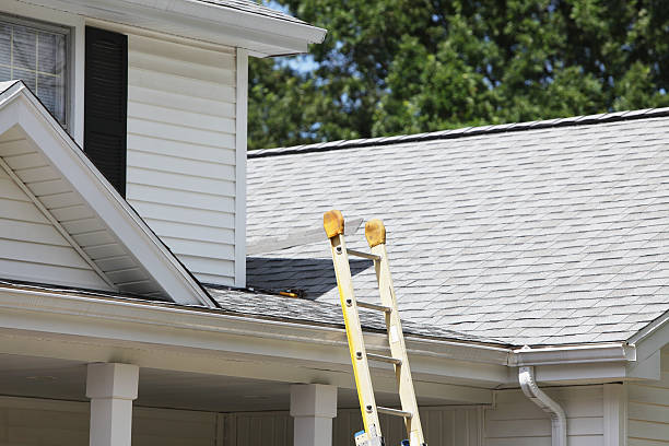 Affordable siding repair and maintenance services in Joppatowne, MD