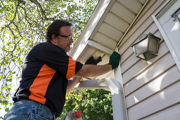 Best Residential Vinyl Siding Installation  in Joppatowne, MD